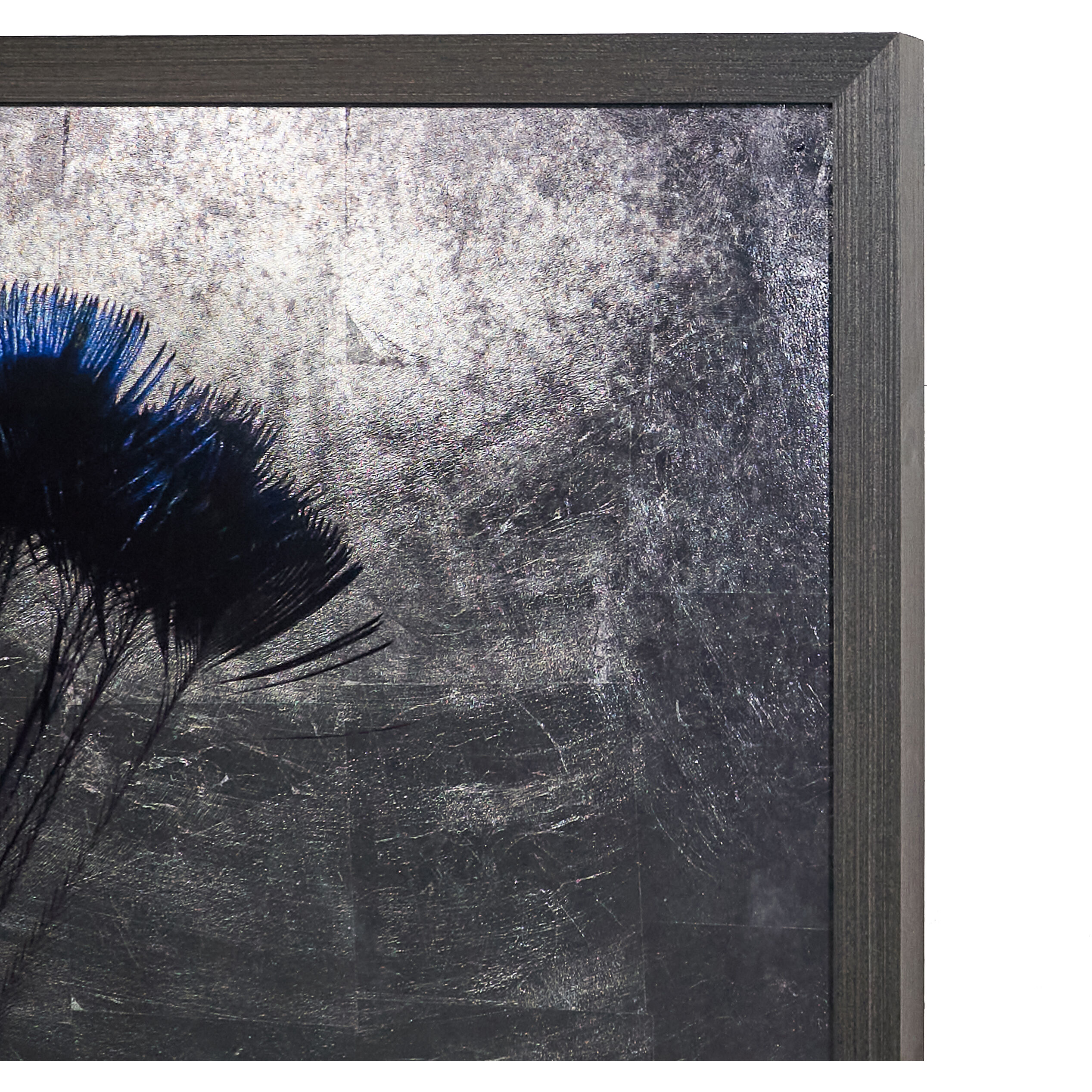 The Peacock Charcoal Luxe Art